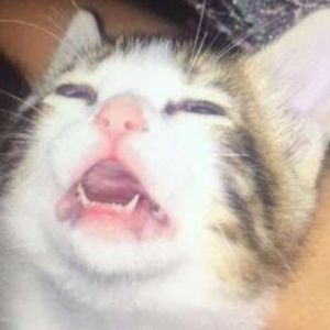 Meet your Posher, Hailie